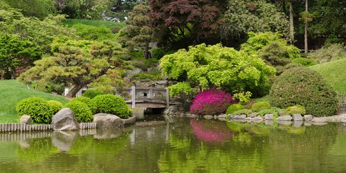 Study finds botanical gardens offer "greater cooling effect" in