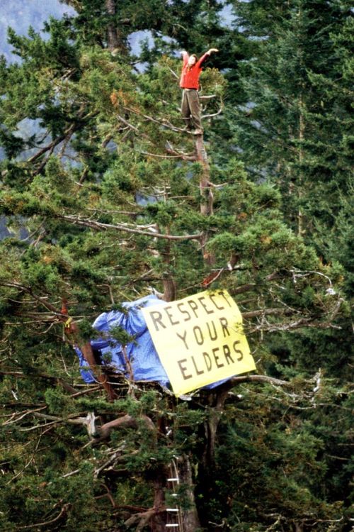 Activist Julia Butterfly Hill, 1997