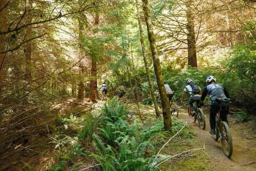 Southern Oregon’s Coastal Treasures: Riding Whiskey Run Singletr