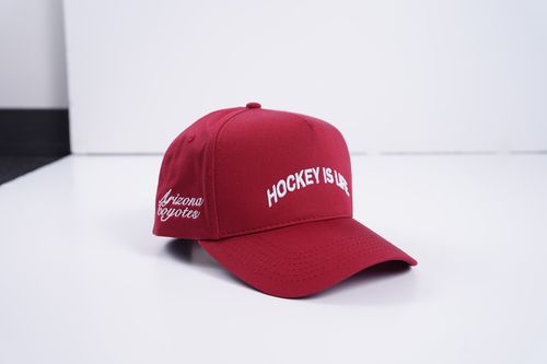 Arizona Coyotes x Bauer Hockey Is NAHMIAS-Coded