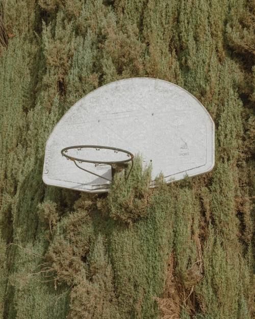 Hoop dreams, Enoch Ku (print sale!)