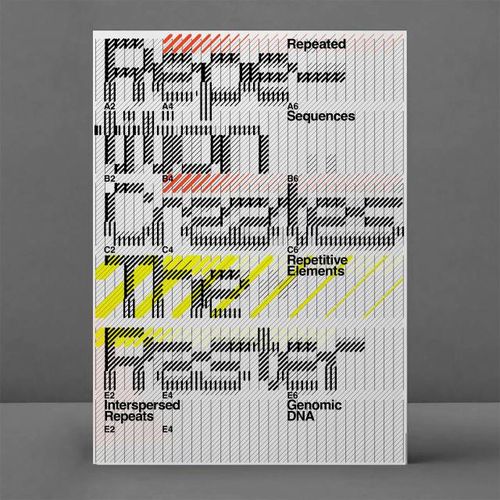 Thomas Kurppa / RCTR &mdash; VN477 / Typography / 2024