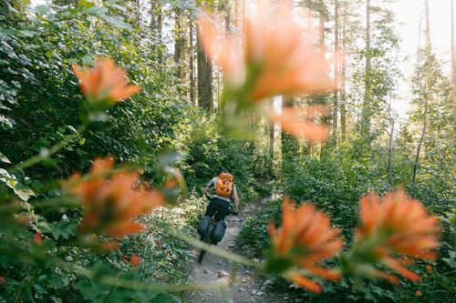 Bikepacking Roots: Lost Sierra Route