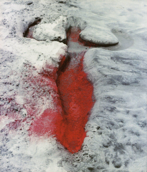 Ana Mendieta, Silueta Works in Mexico (detail), 1973&ndash;77.