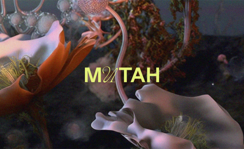 mutah-1920x1170.jpg.webp